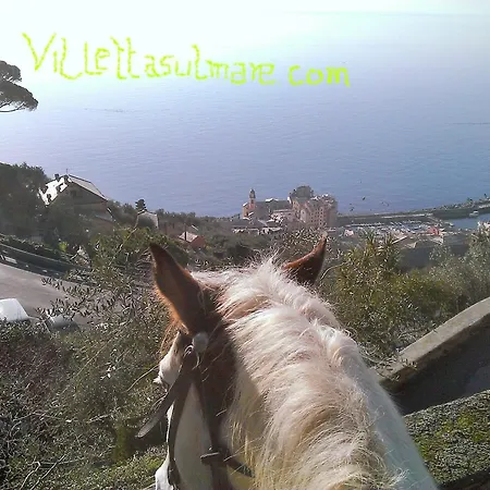 Sul Mare Camogli