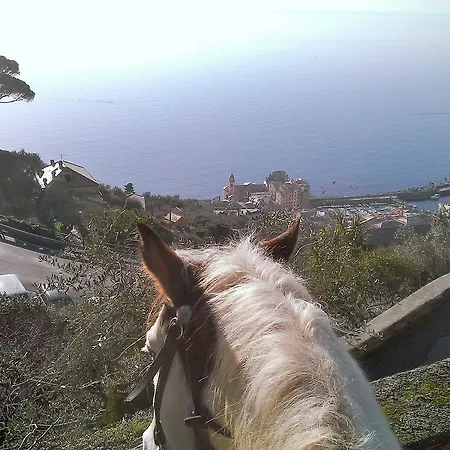 Sul Mare Ferienhaus Camogli